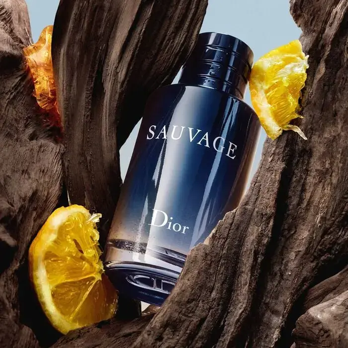dior savauge edt photo 5.webp